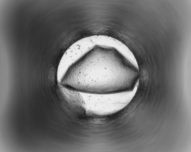 X0000093430664200711091436