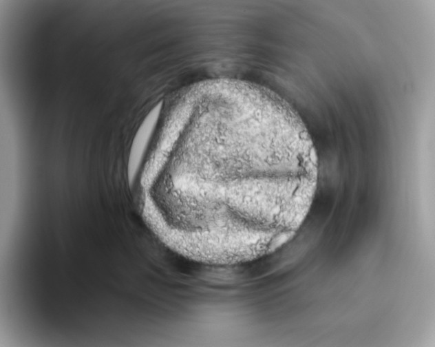 X0000093430671200711091437