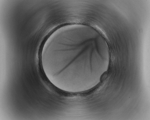 X0000093430674200711091436
