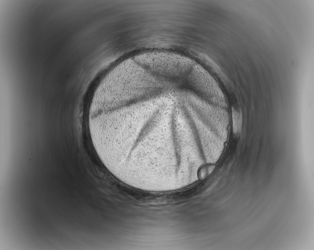 X0000093430675200711091436