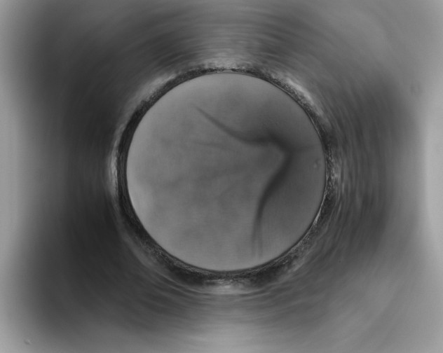 X0000093430678200711091436