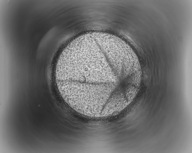 X0000093430679200711091436
