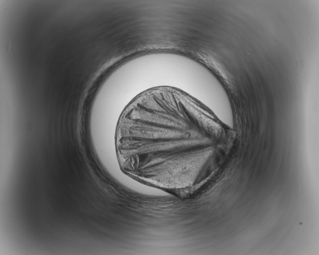 X0000093430684200711091436