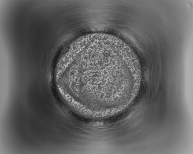 X0000093430687200711091436