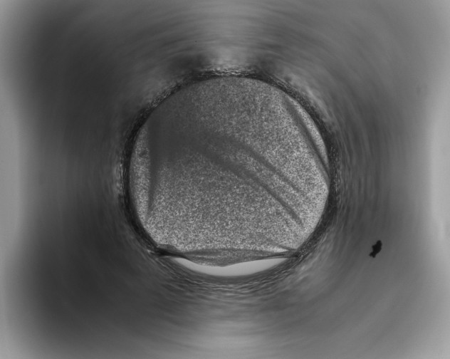 X0000093430689200711091436
