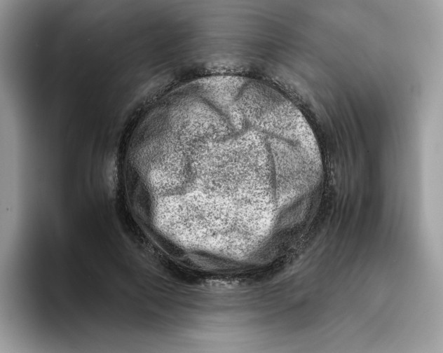 X0000093430690200711091436