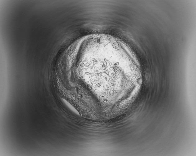 X0000093430691200711091436
