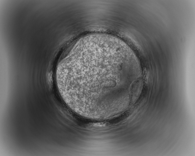 X0000093430692200711091436