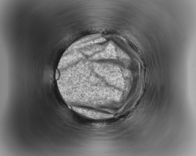 X0000093430693200711091436
