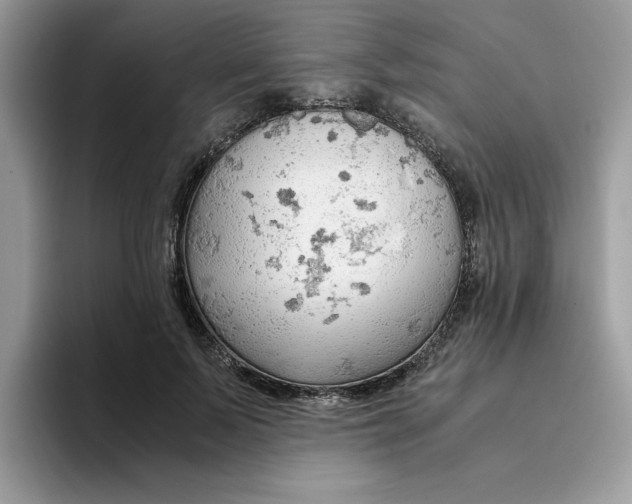 X0000093430695200711091436