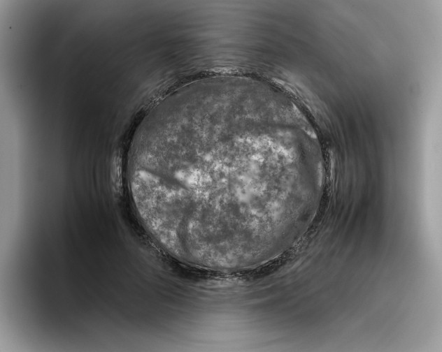 X0000093430696200711091436