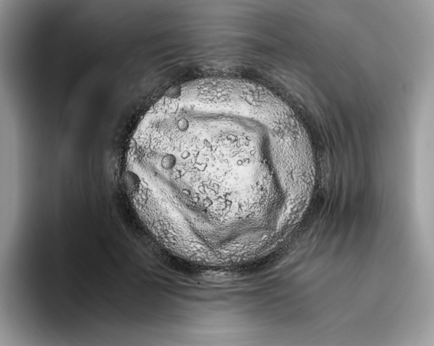 X0000093430699200711091436