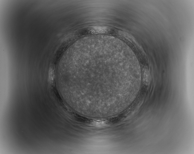 X0000093430701200711091436