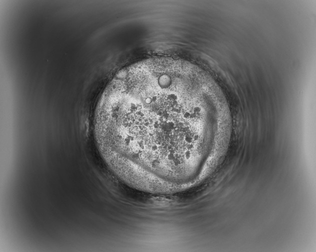 X0000093430703200711091436