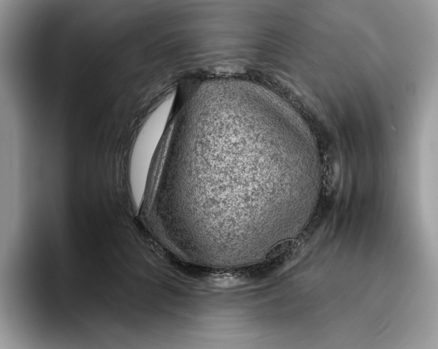 X0000093430704200711091436