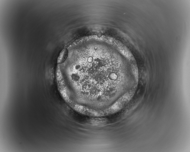 X0000093430707200711091436