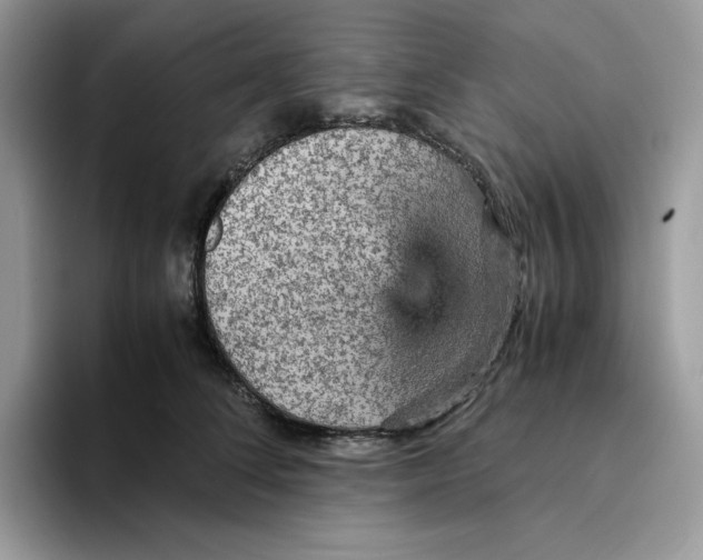 X0000093430708200711091436