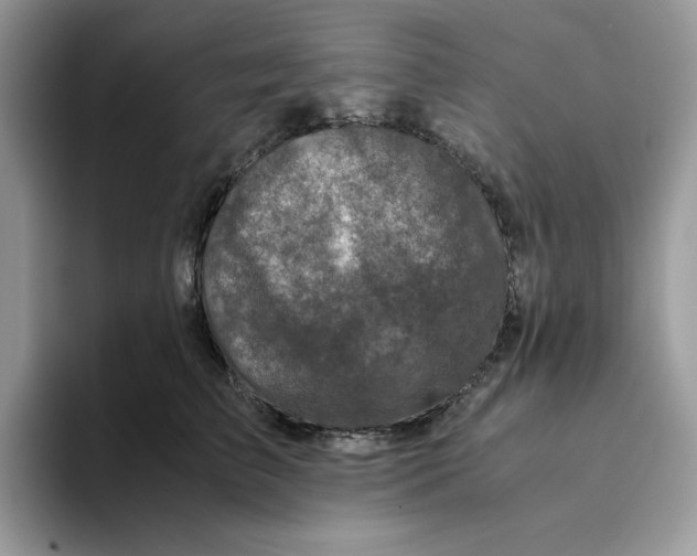 X0000093430709200711091436