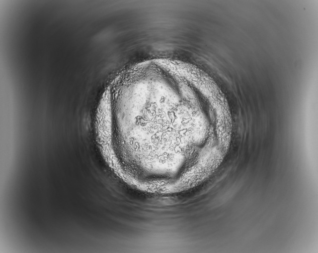 X0000093430711200711091436