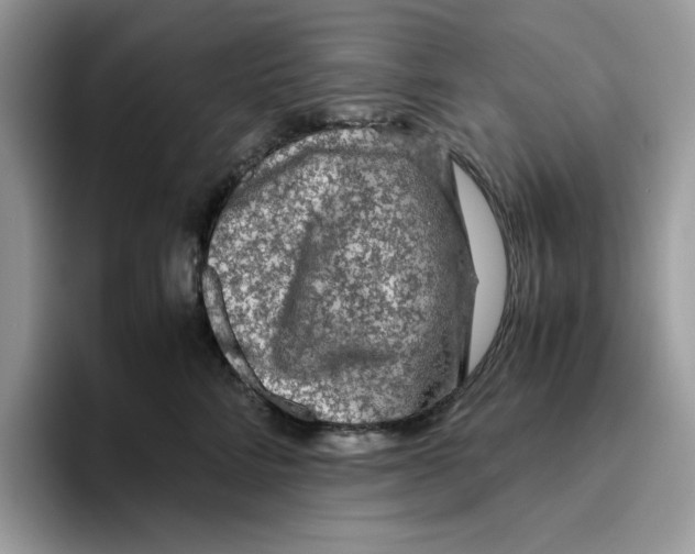 X0000093430712200711091436