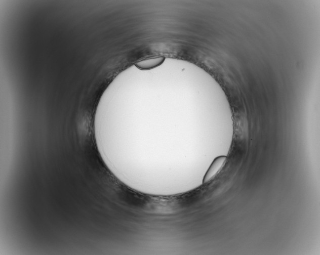 X0000093430713200711091436