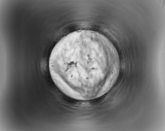 X0000093430715200711091436