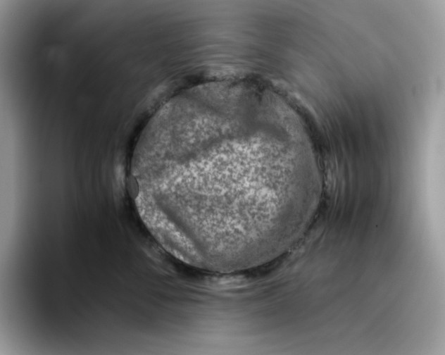 X0000093430716200711091436