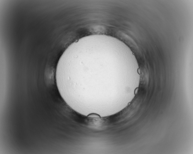 X0000093430717200711091435