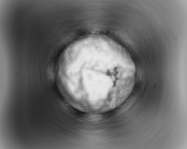 X0000093430719200711091435