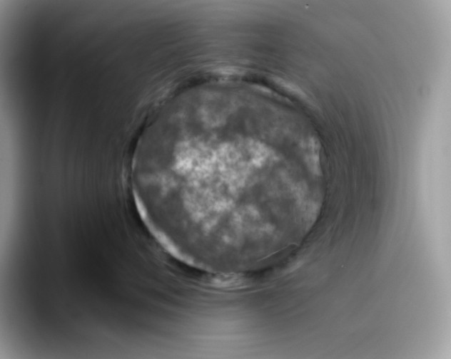 X0000093430720200711091435
