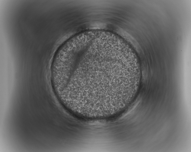 X0000093430721200711091435