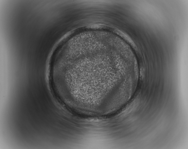 X0000093430724200711091435