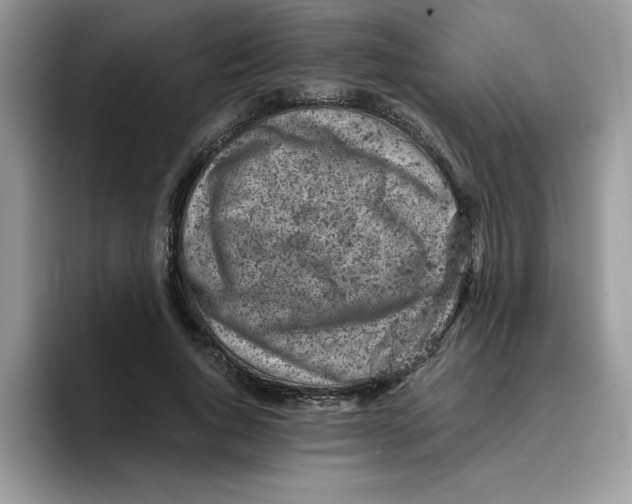 X0000093430736200711091435