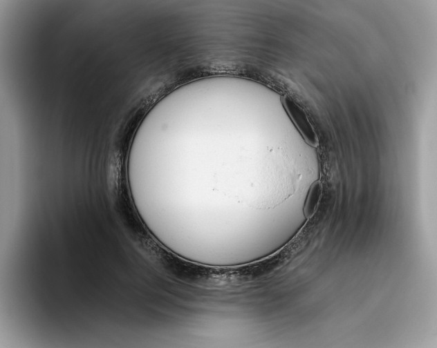X0000093430744200711091435