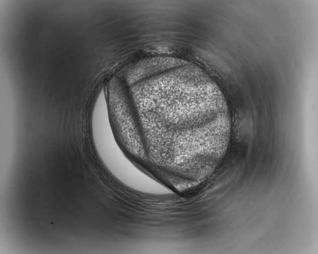 X0000093430747200711091435
