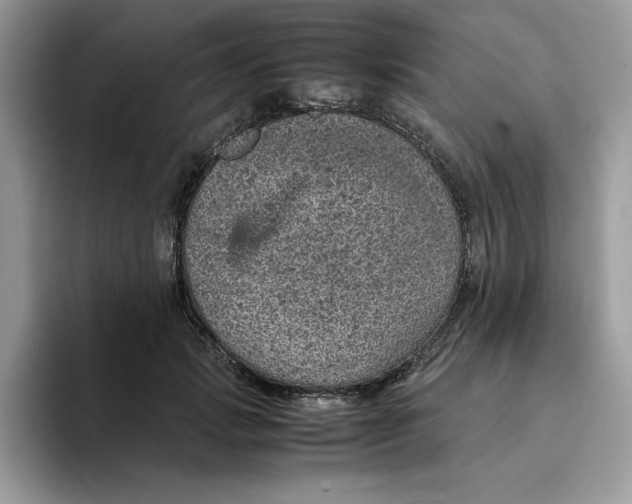 X0000093430749200711091435
