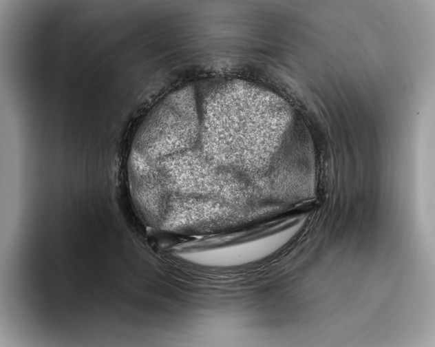 X0000093430750200711091435