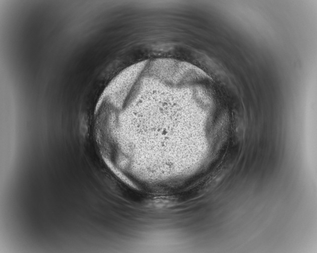 X0000093430758200711091435