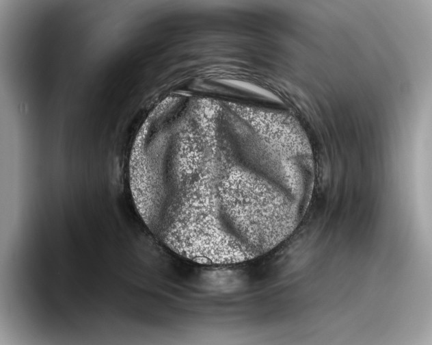 X0000093430759200711091435