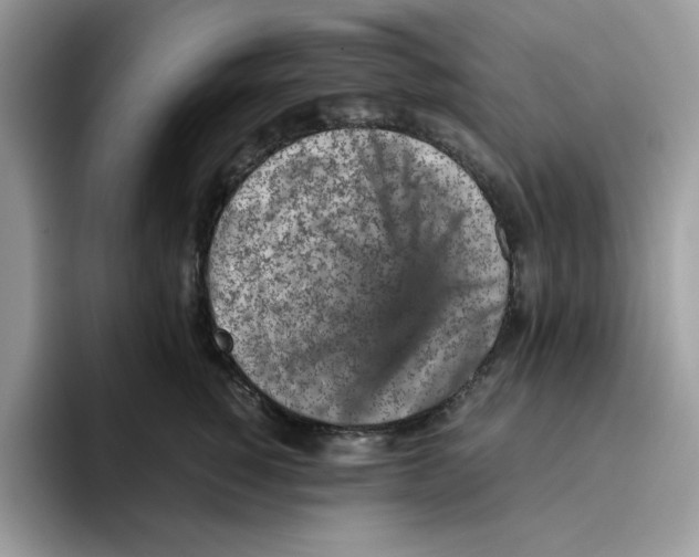 X0000093430760200711091435