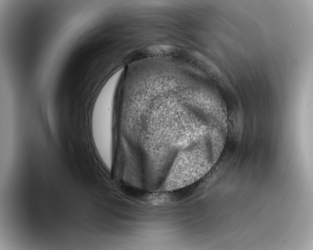 X0000093430762200711091435