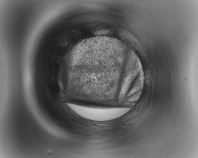 X0000093430763200711091435