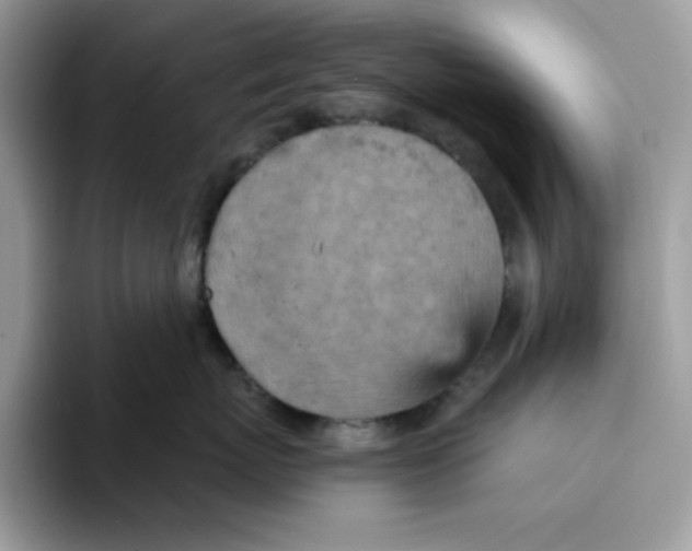 X0000093430767200711091435