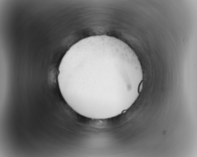 X0000093430768200711091435