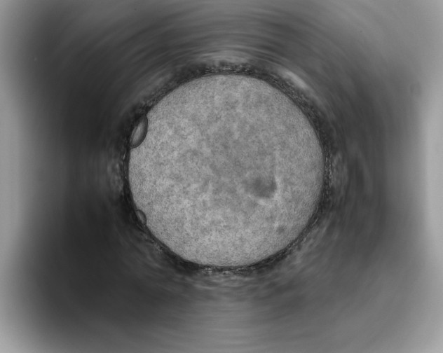 X0000093430774200711091435