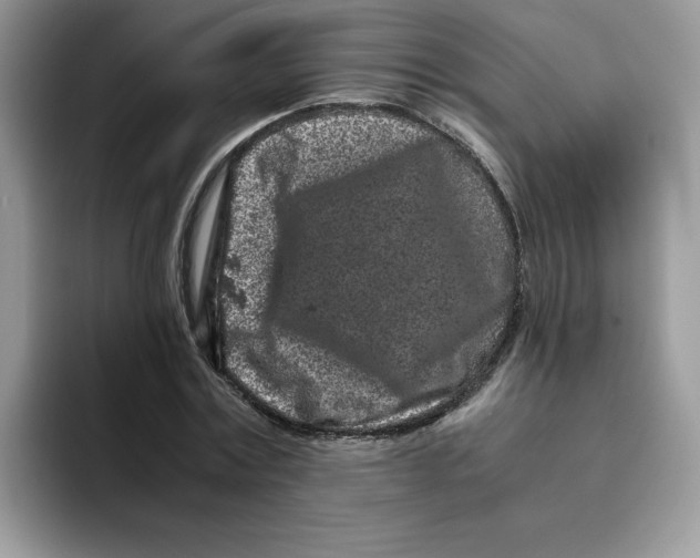 X0000093430779200711091435
