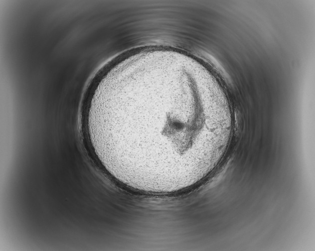 X0000093430780200711091435