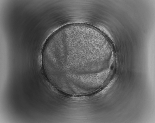 X0000093430781200711091435