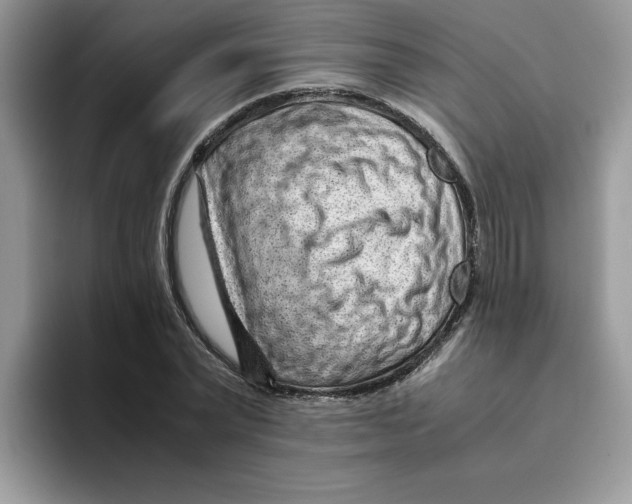 X0000093430783200711091435