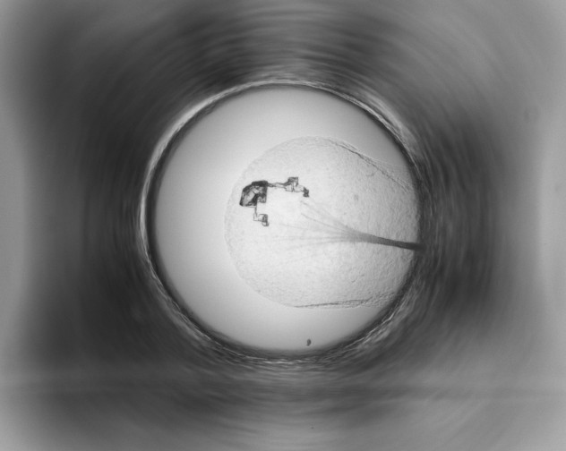 X0000093430788200711091435